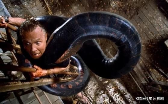 狂蟒之灾雅酷在线观看,雅酷平台独家呈现！  第3张